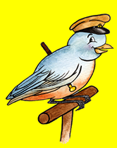 Colonel's Wild Bird Food