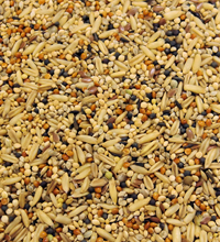 Colonel's Budgie Tonic Bird Seed