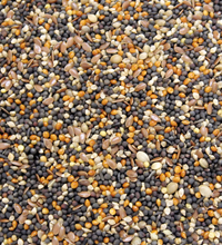 Colonel's Canary Conditioner Bird Food