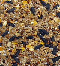 Colonels Xtra Wild Bird Seed